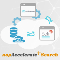 Picture of nopAccelerate Plus Search Subscription (Monthly)